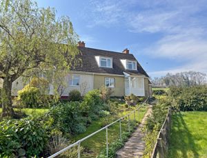 Front- click for photo gallery